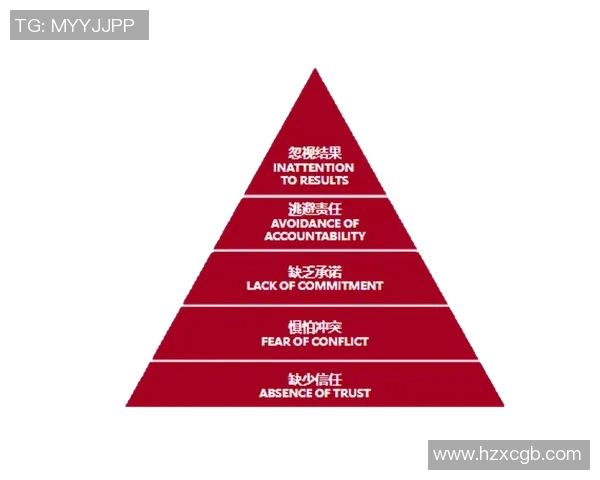 深圳篮球队在杯赛中的团队协作表现分析与反思