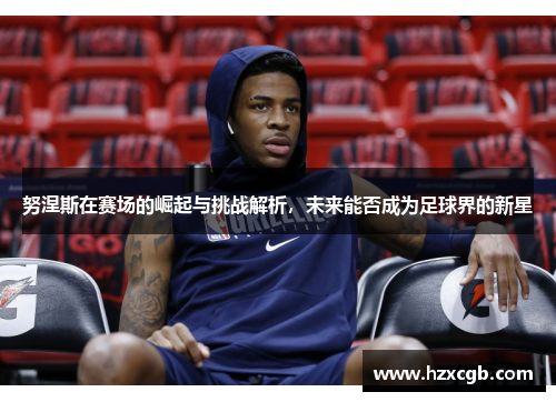努涅斯在赛场的崛起与挑战解析，未来能否成为足球界的新星
