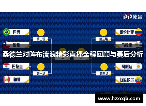 桑德兰对阵布流浪精彩直播全程回顾与赛后分析