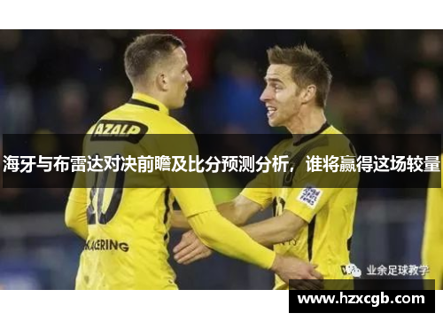 海牙与布雷达对决前瞻及比分预测分析，谁将赢得这场较量