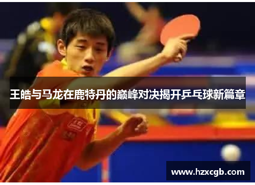 王皓与马龙在鹿特丹的巅峰对决揭开乒乓球新篇章